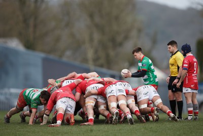 250323 - Llandovery v Llanelli - Indigo Group Premiership - Lee Rees of Llandovery prepares to put the ball into scrum