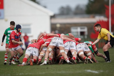 250323 - Llandovery v Llanelli - Indigo Group Premiership - Gareth George of Llanelli feeds a scrum