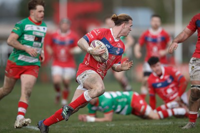 250323 - Llandovery v Llanelli - Indigo Group Premiership - Harri Williams of Llanelli