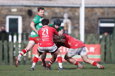 250323 - Llandovery v Llanelli - Indigo Group Premiership - Iestyn Rees of Llandovery is tackled