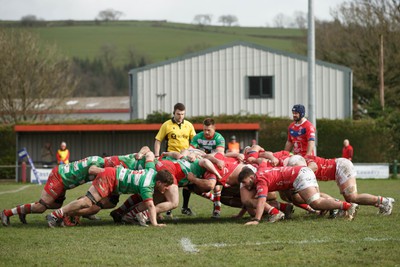 250323 - Llandovery v Llanelli - Indigo Group Premiership - Lee Rees of Llandovery prepares to put the ball into scrum