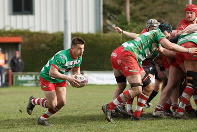 250323 - Llandovery v Llanelli - Indigo Group Premiership - Lee Rees of Llandovery makes a break from a scrum