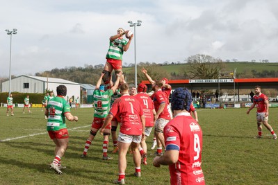 250323 - Llandovery v Llanelli - Indigo Group Premiership - Jack Jones of Llandovery wins a line out