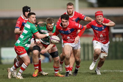 250323 - Llandovery v Llanelli - Indigo Group Premiership - Jac Davies of Llanelli on the attack