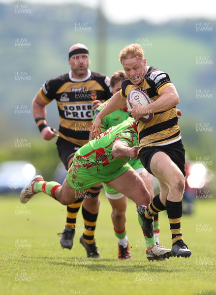 110524 - Llandovery v Newport, Indigo Premiership Play Off Final - David Richards of Newport looks for support as he is tackled