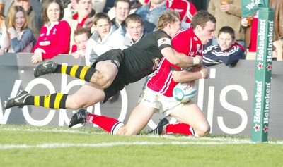 Llanelli Scarlets v London Wasps 111205