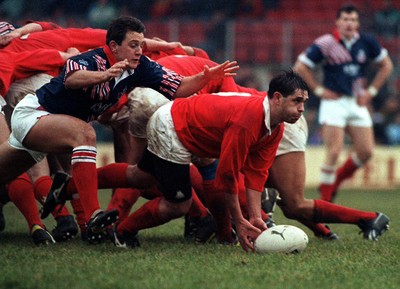 Llanelli v London Welsh 271293