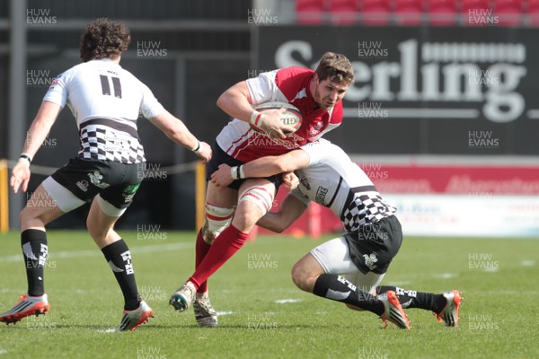 220315 - Llanelli RFC v Pontypridd RFC - Principality Premiership -Ed Price tries to break the Pontypridd defence