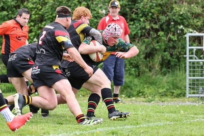 020526 - Llangadog v Cefneithin - Admiral National League 4 West B - Cefneithin score a try 