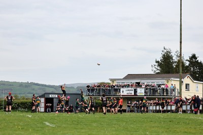 020526 - Llangadog v Cefneithin - Admiral National League 4 West B - A line out at Llangadog RFC