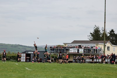 020526 - Llangadog v Cefneithin - Admiral National League 4 West B - A line out at Llangadog RFC