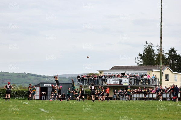 020526 - Llangadog v Cefneithin - Admiral National League 4 West B - A line out at Llangadog RFC