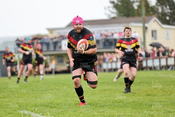 020526 - Llangadog v Cefneithin - Admiral National League 4 West B - Llangadog captain Charles Handford scores a try
