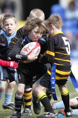 14.03.10 Cardiff Blues v Gloucester - LV=Cup Semi-Final - Half time under 8's Tag rugby Llanharan (blue & black) v Builth Wells. 