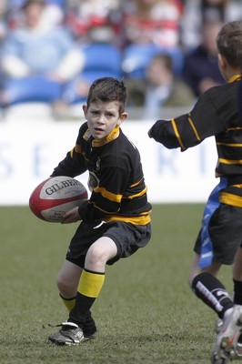 14.03.10 Cardiff Blues v Gloucester - LV=Cup Semi-Final - Half time under 8's Tag rugby Llanharan (blue & black) v Builth Wells. 