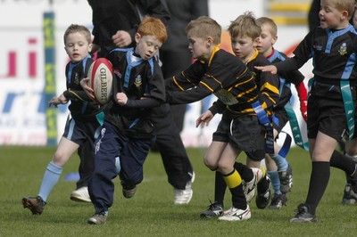 14.03.10 Cardiff Blues v Gloucester - LV=Cup Semi-Final - Half time under 8's Tag rugby Llanharan (blue & black) v Builth Wells. 