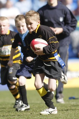 14.03.10 Cardiff Blues v Gloucester - LV=Cup Semi-Final - Half time under 8's Tag rugby Llanharan (blue & black) v Builth Wells. 