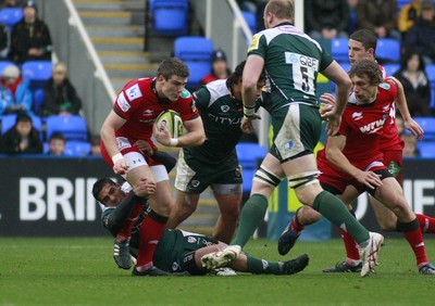 London Irish v Scarlets 141110