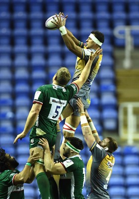 London Irish v Scarlets 180120