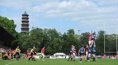 London Welsh v Bedford Blues 130512