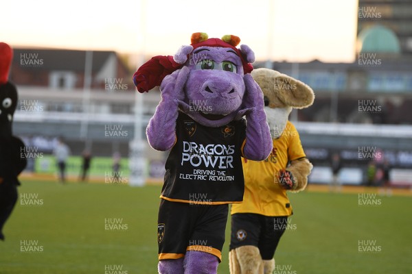 160425 - Loughborough University v Hartpury University - Men's BUCS Super Rugby Milk Championship Final - Half time mascot race