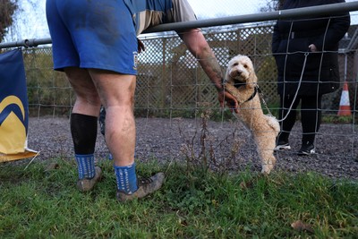310126 - Machen v Risca RFC - Admiral National League 3 East - 