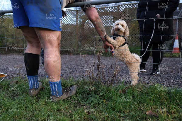 310126 - Machen v Risca RFC - Admiral National League 3 East - 