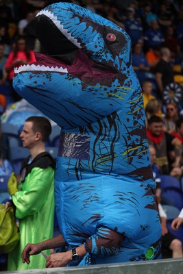 020526 - Mansfield Town v Cardiff City - Sky Bet League 1 - Cardiff fans in Fancy Dress for the last match of the season