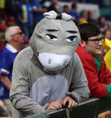 020526 - Mansfield Town v Cardiff City - Sky Bet League 1 - Cardiff fans in Fancy Dress for the last match of the season