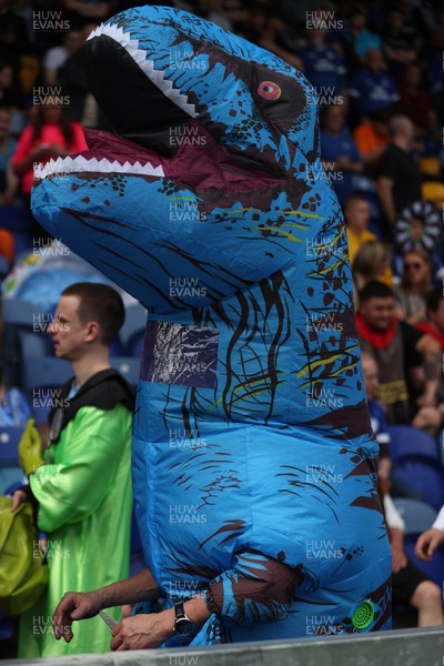 020526 - Mansfield Town v Cardiff City - Sky Bet League 1 - Cardiff fans in Fancy Dress for the last match of the season