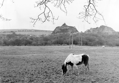 Margam Pit Site 050387