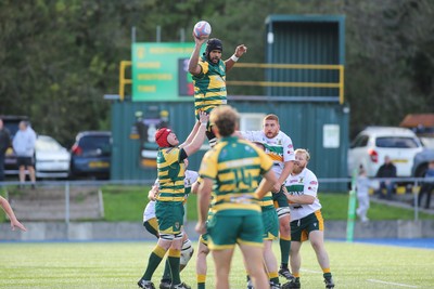 101026 - Merthyr v Beddau - Admiral WRU Premiership - Morgan Burgees of Beddau wins lineout ball