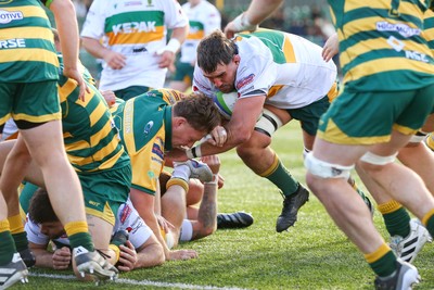 101026 - Merthyr v Beddau - Admiral WRU Premiership - Paddy McBride of Merthyr powers over to score a try