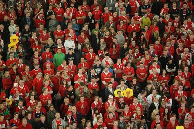 Millennium Stadium Fans 151011