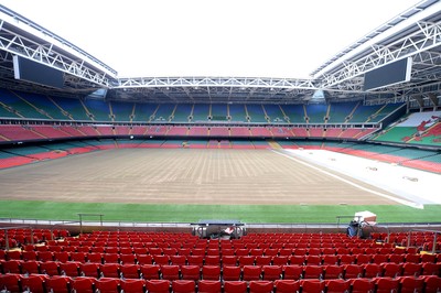 Millennium Stadium Terraplas Laying 090515