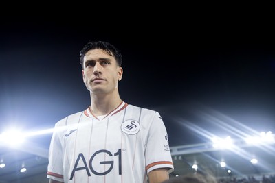 131026 - Millwall v Swansea City - Sky Bet Championship -  Marko Stamenic of Swansea City
