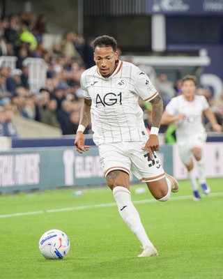 131026 - Millwall v Swansea City - Sky Bet Championship -  Ronald Pereira Martin of Swansea City in action