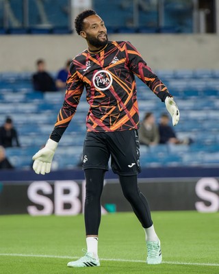 131026 - Millwall v Swansea City - Sky Bet Championship -  Lawrence Vigouroux of Swansea City warming up