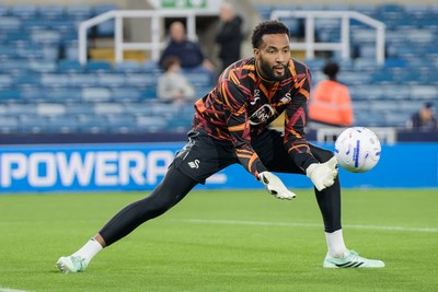 131026 - Millwall v Swansea City - Sky Bet Championship -  Lawrence Vigouroux of Swansea City warming up