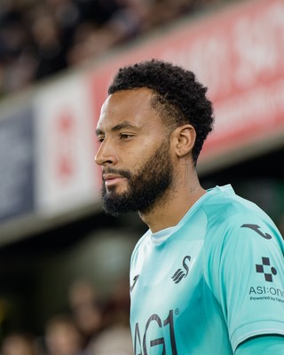 131026 - Millwall v Swansea City - Sky Bet Championship -  Lawrence Vigouroux of Swansea City