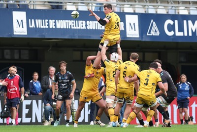 030526 - Montpellier Herault Rugby v Dragons RFC - EPCR Challenge Cup Semi Final - Seb Davies of Dragons wins the ball