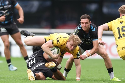 Montpellier Herault Rugby v Dragons RFC 030526