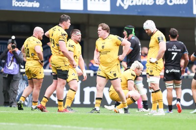 030526 - Montpellier Herault Rugby v Dragons RFC - EPCR Challenge Cup Semi Final - Dragons players are dejected after defeat