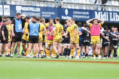 030526 - Montpellier Herault Rugby v Dragons RFC - EPCR Challenge Cup Semi Final - Dejected Dragons players shake hands after the match