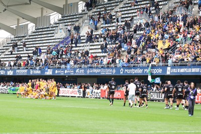 030526 - Montpellier Herault Rugby v Dragons RFC - EPCR Challenge Cup Semi Final - Dragons have a team picture taken in front of travelling fans after the match
