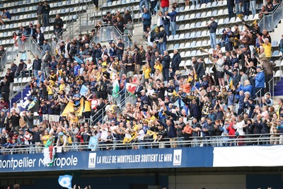 030526 - Montpellier Herault Rugby v Dragons RFC - EPCR Challenge Cup Semi Final - Dragons fans