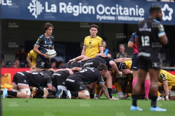 030526 - Montpellier Herault Rugby v Dragons RFC - EPCR Challenge Cup Semi Final - Alexis Bernadet of Montpellier waits to feed a scrum as Niall Armstrong of Dragons looks on