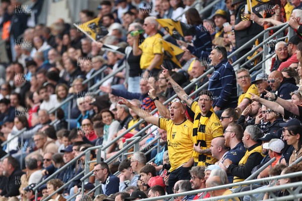 030526 - Montpellier Herault Rugby v Dragons RFC - EPCR Challenge Cup Semi Final - Dragons fans