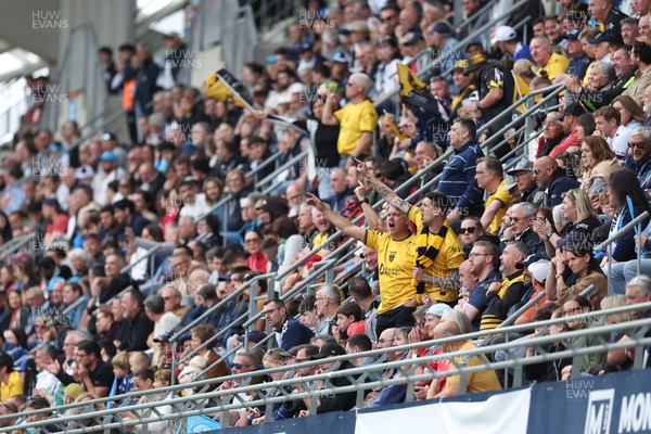 030526 - Montpellier Herault Rugby v Dragons RFC - EPCR Challenge Cup Semi Final - Dragons fans