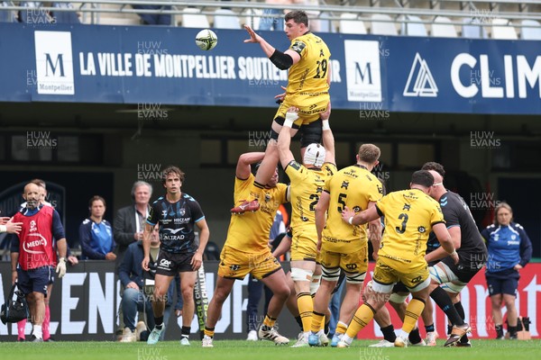 030526 - Montpellier Herault Rugby v Dragons RFC - EPCR Challenge Cup Semi Final - Seb Davies of Dragons wins the ball